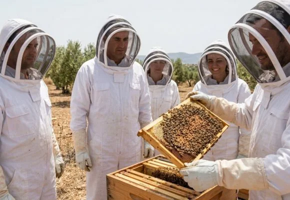 Apiculture avec Baraka destinations