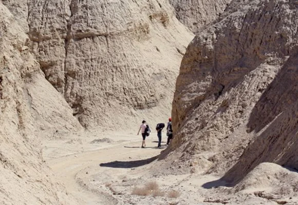 Le chemin du bouquetin